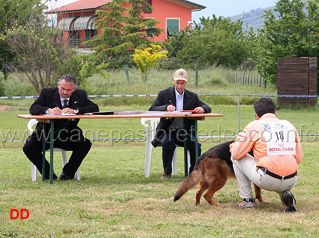 185.jpg - come sui banchi di scuola..gli aspiranti allievi Gaetano Barbieri e Olimpio Ciciriello al lavoro