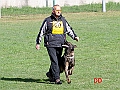gianni-greco-con-fato-z-elisu