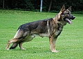 hades-von-der-schwarzen-natter