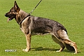 inka-vom-trauntor,