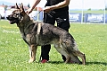 kim-vom-trauntor