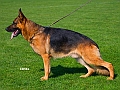 nilo-von-der-falkenkanzel