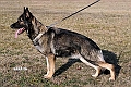 polly-di-casa-nosella