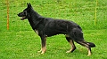 udina-von-der-sturmburg,